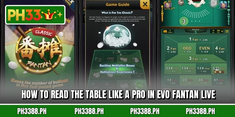 How to read the table like a pro in EVO Fantan Live