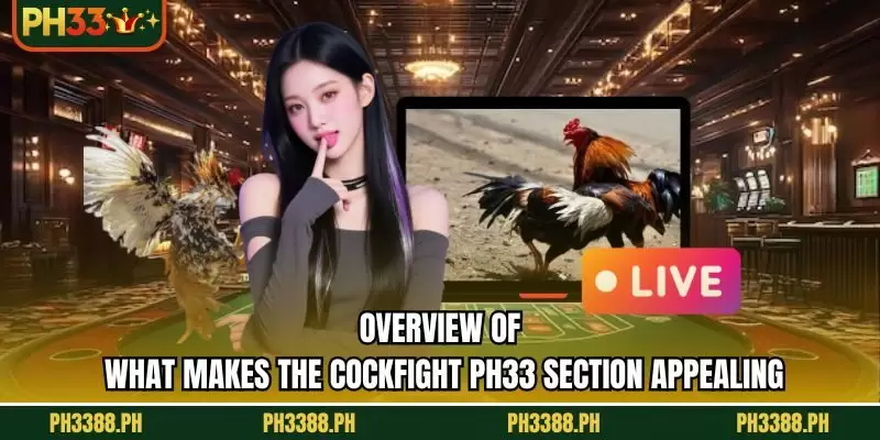 Overview of what makes the cockfight PH33 section appealing