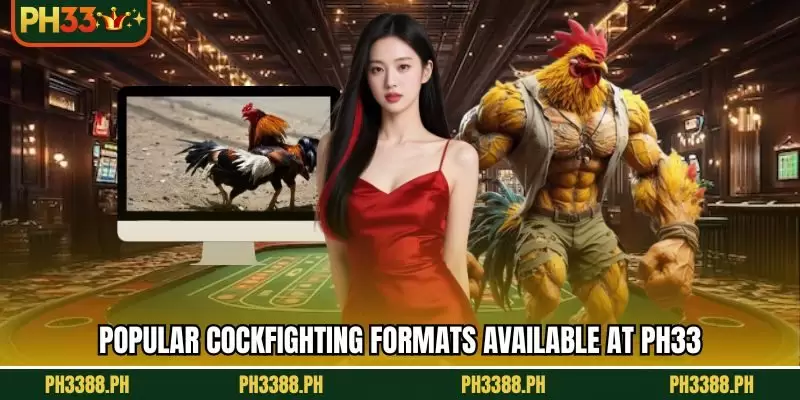 Popular cockfighting formats available at PH33