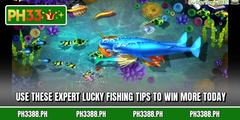 Use these expert Lucky Fishing tips to win more today