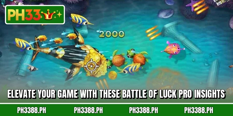 Elevate your game with these Battle of Luck pro insights