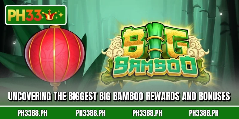 Uncovering the biggest Big Bamboo rewards and bonuses