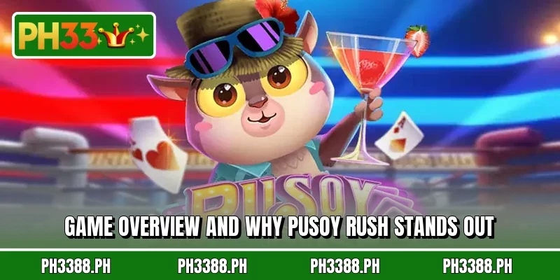 Game overview and why Pusoy Rush stands out